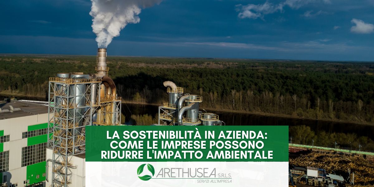 La Sostenibilità in Azienda: Come le Imprese Possono Ridurre l’Impatto Ambientale