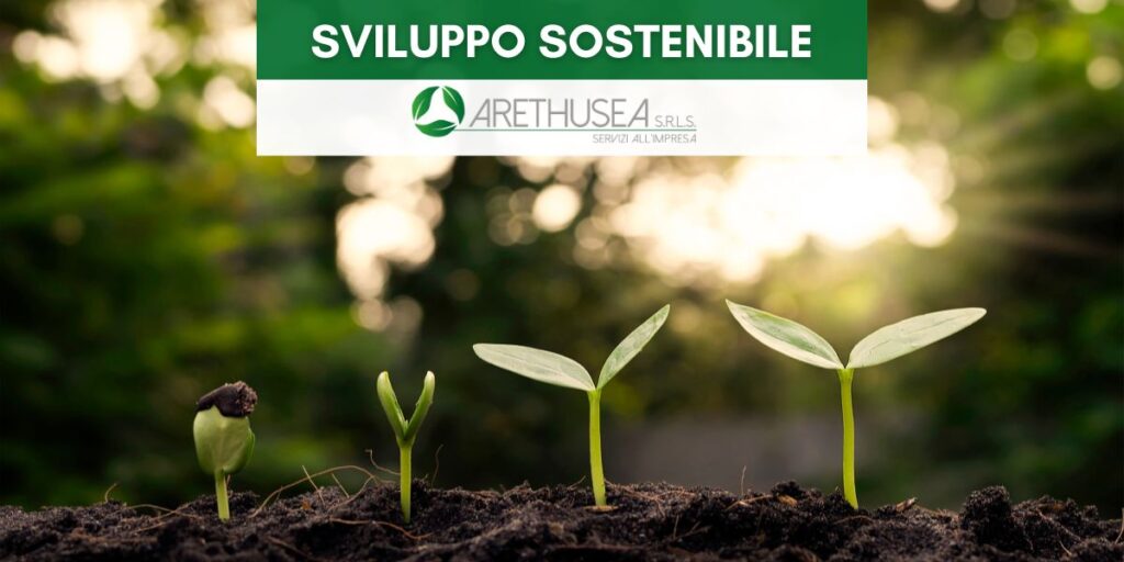 Sviluppo sostenibile - Articolo